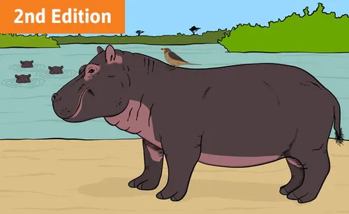 Illustration of a hippo with a bird on its back. They are standing in front of a lake and we can see the tops of three more hippos peeping out of the water.